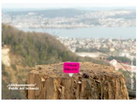 GM_Schweiz_Sterne zählen_1.jpg