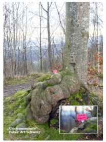 GM_Schweiz_Sterne zählen_2.jpg